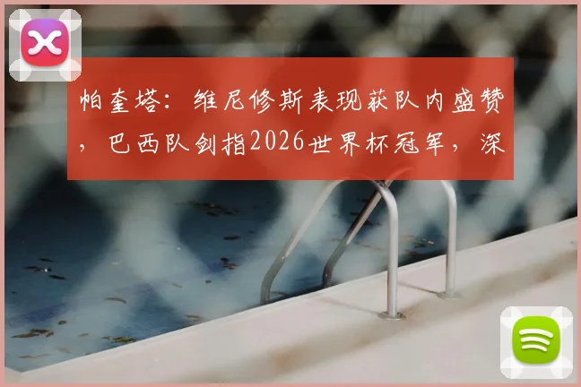 帕奎塔：维尼修斯表现获队内盛赞，巴西队剑指2026世界杯冠军，深度解析全队备战动态与核心战术